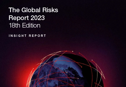 Global risk report 2023
